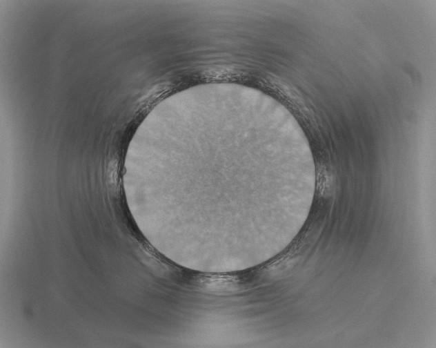 X0000115450670200912161515