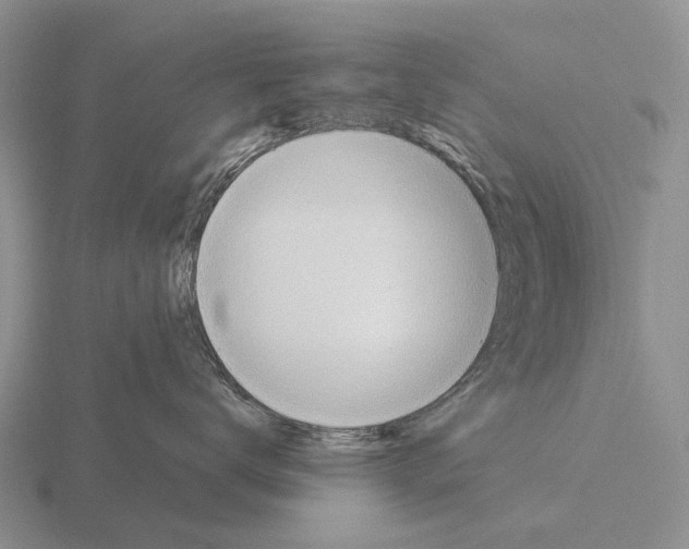 X0000115450672200912161515