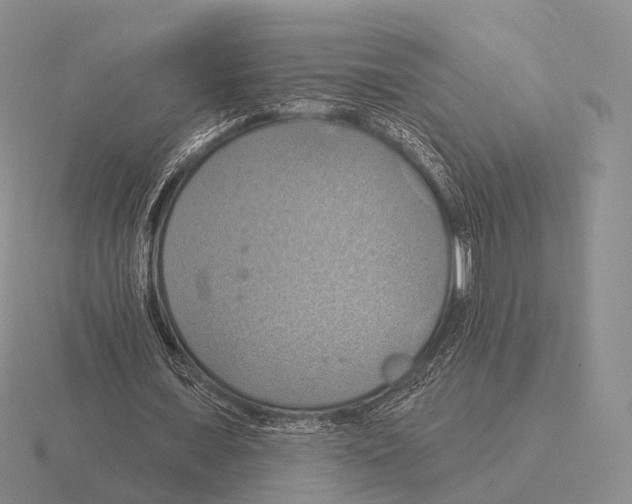 X0000115450675200912161515