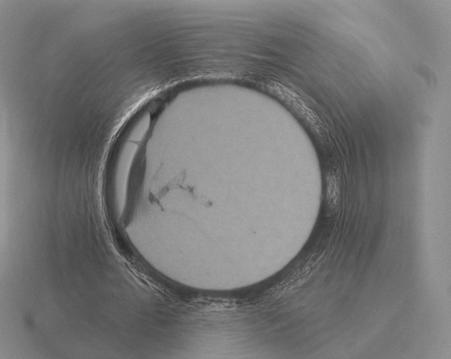 X0000115450676200912161515