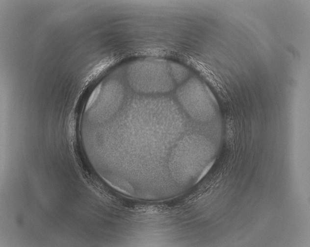 X0000115450679200912161515