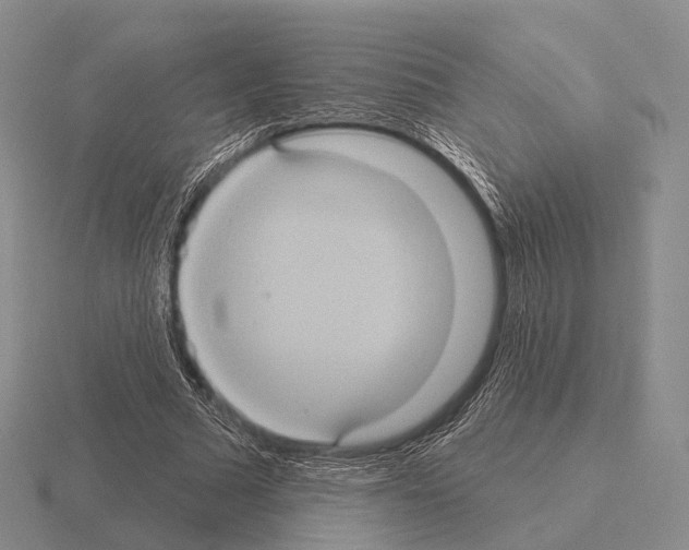 X0000115450681200912161515