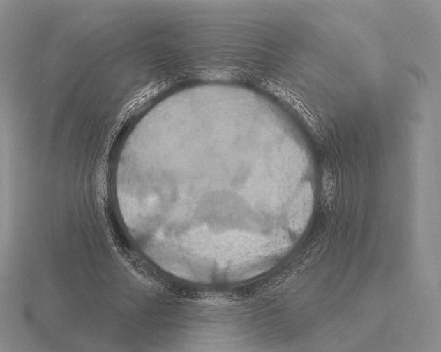 X0000115450682200912161515