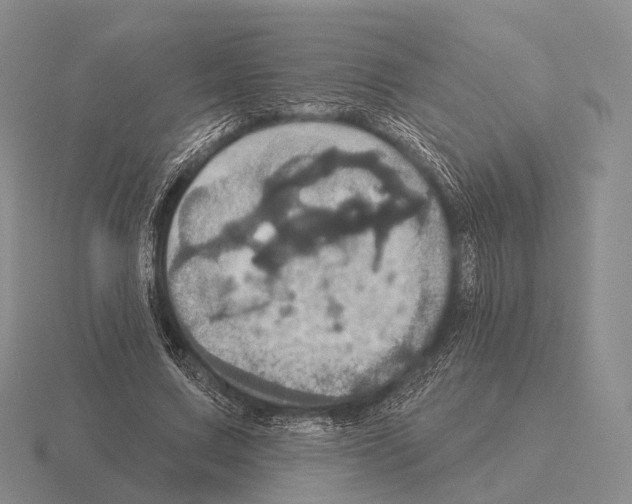 X0000115450683200912161515