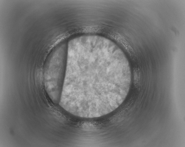 X0000115450684200912161515