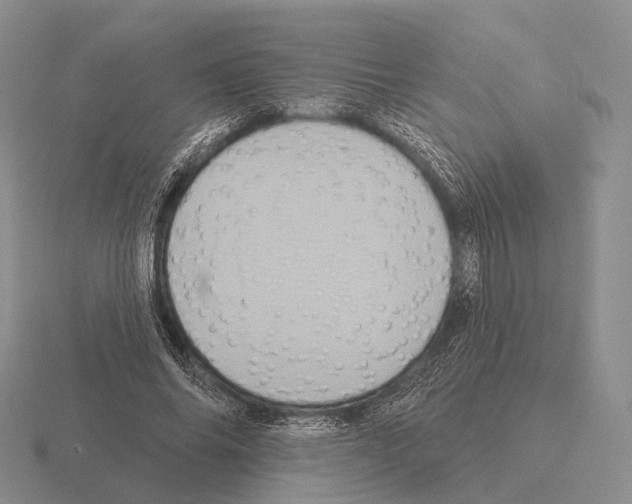 X0000115450686200912161514