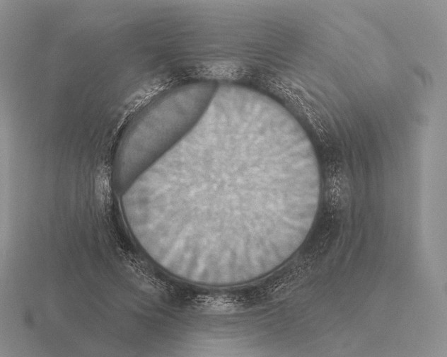 X0000115450688200912161514