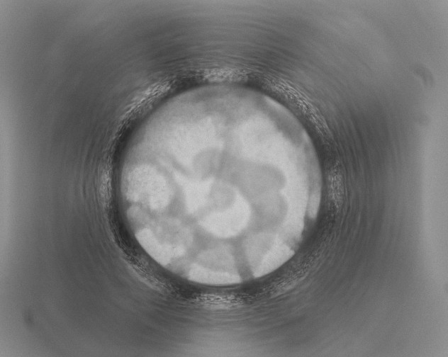 X0000115450690200912161514