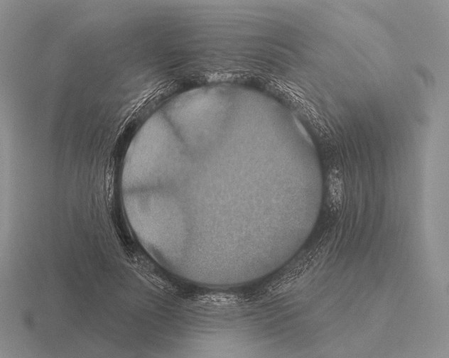 X0000115450691200912161514