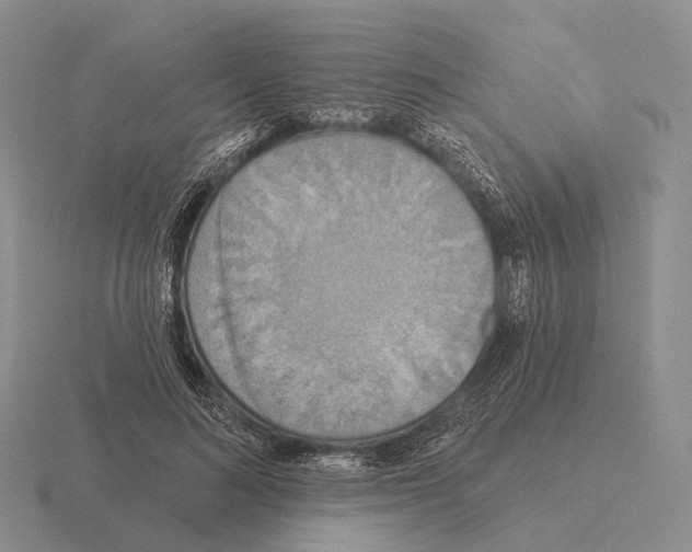 X0000115450692200912161514