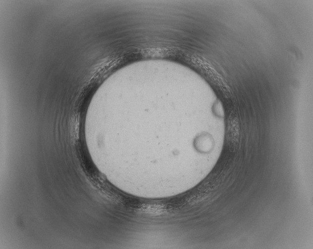 X0000115450694200912161514