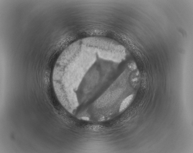 X0000115450695200912161514