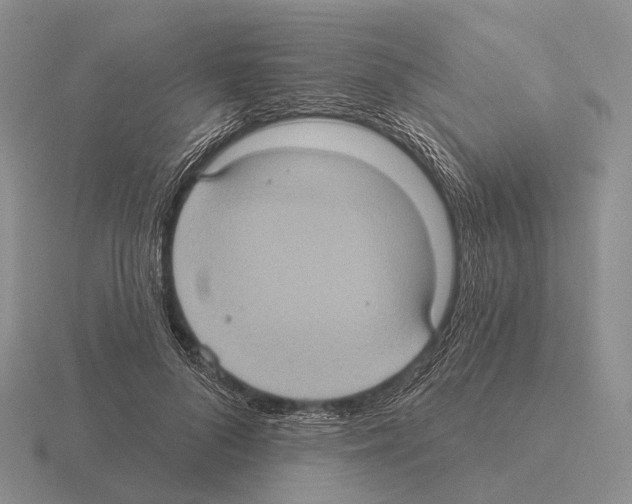 X0000115450696200912161514