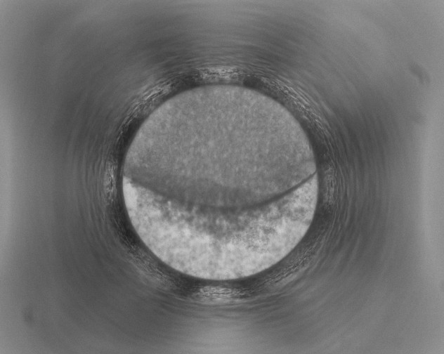 X0000115450699200912161514