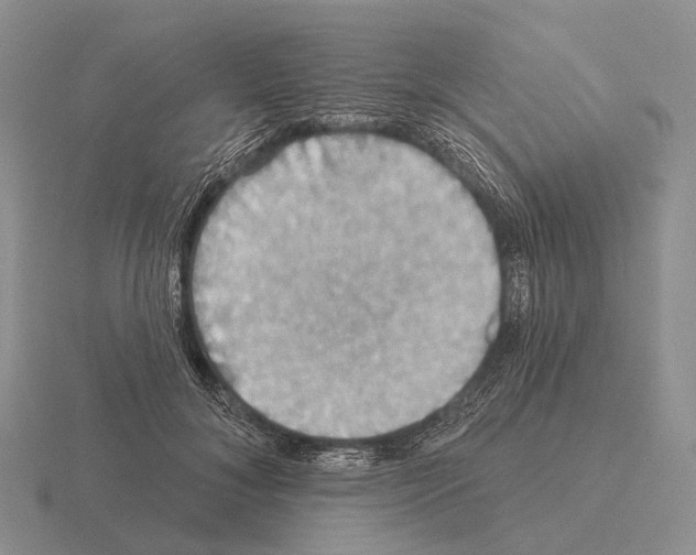 X0000115450700200912161514