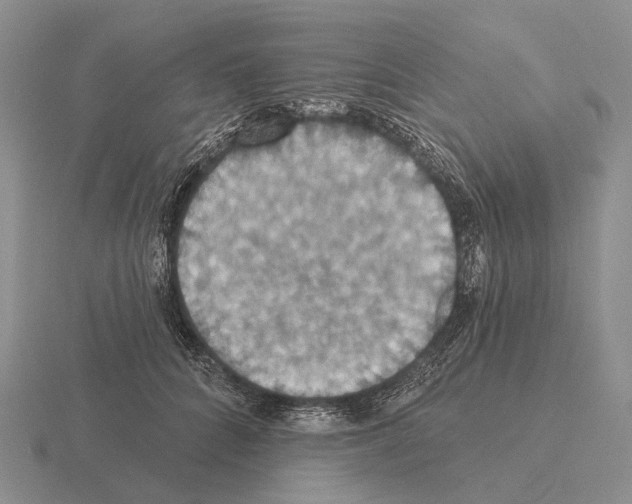 X0000115450704200912161514