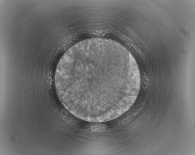 X0000115450707200912161514