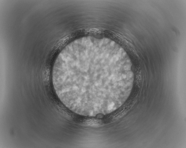 X0000115450708200912161514