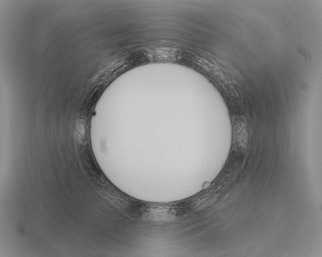 X0000115450709200912161514