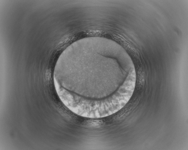 X0000115450711200912161514