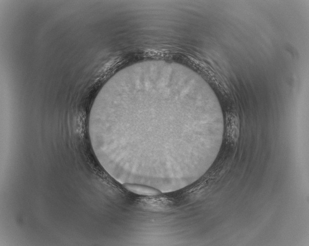 X0000115450712200912161514