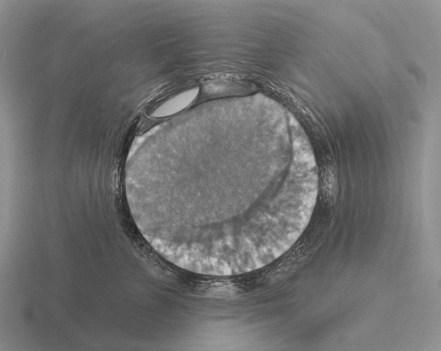 X0000115450715200912161514