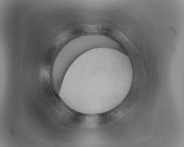 X0000115450720200912161514