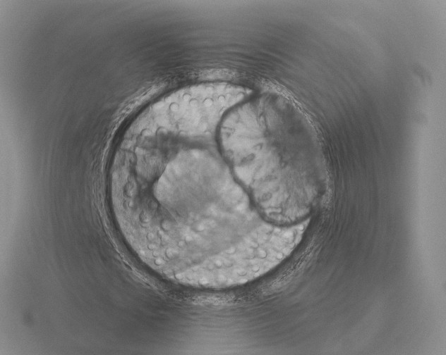 X0000115450721200912161513