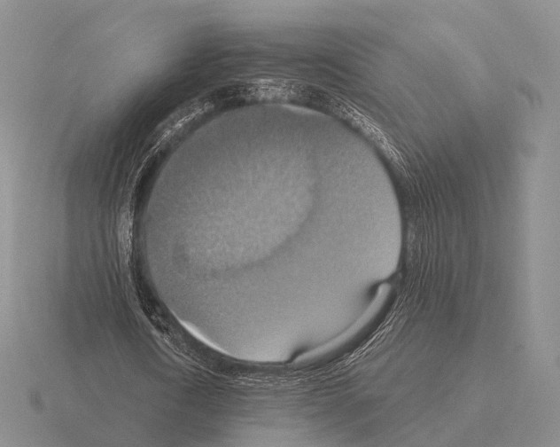 X0000115450722200912161513