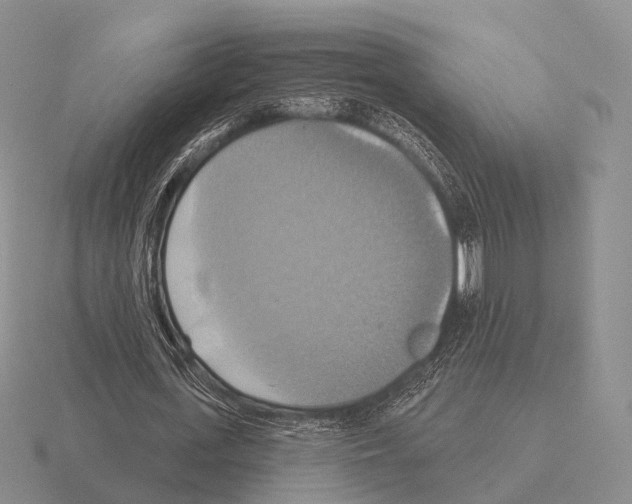 X0000115450723200912161513