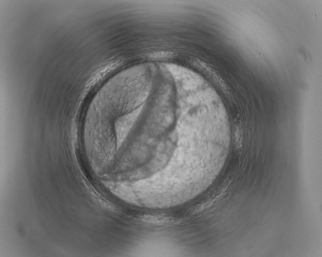 X0000115450725200912161513