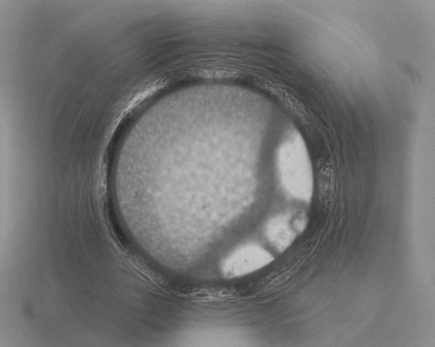 X0000115450727200912161514