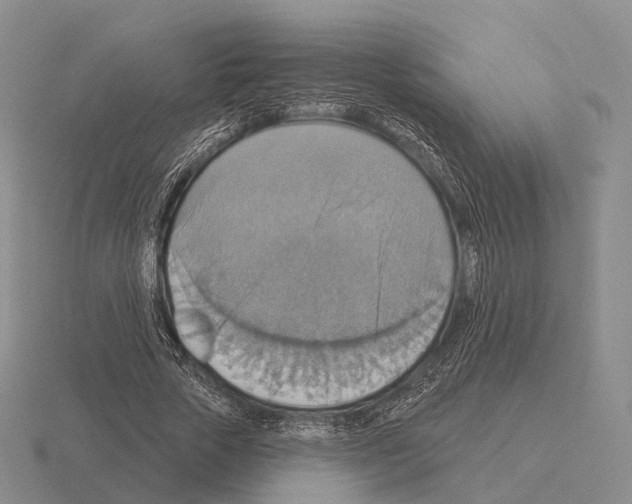 X0000115450729200912161514