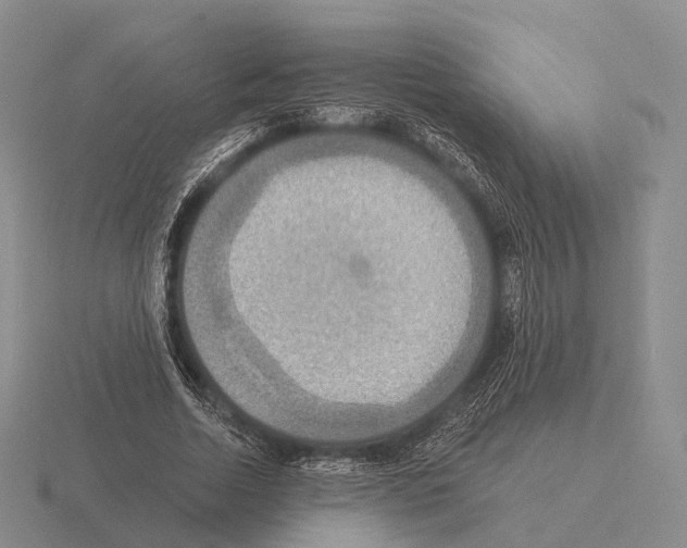 X0000115450730200912161514