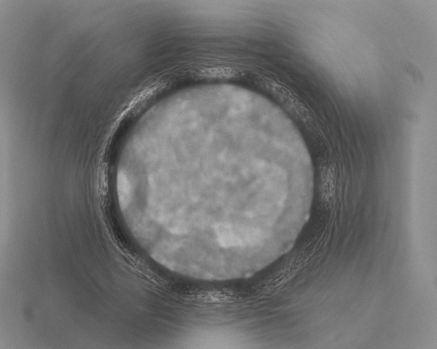 X0000115450731200912161514