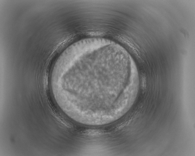 X0000115450733200912161514