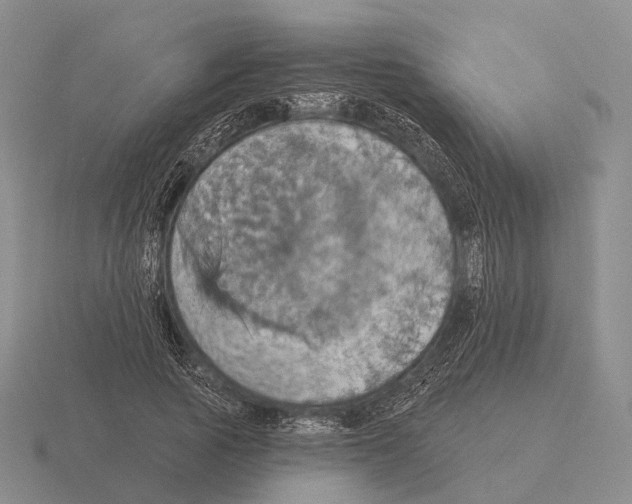 X0000115450737200912161514