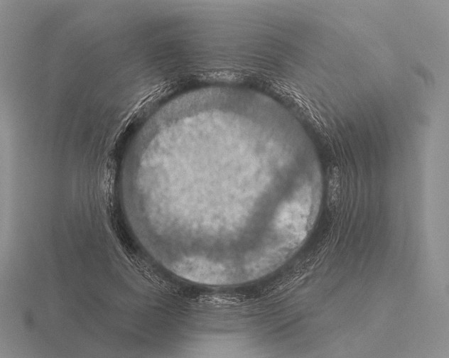 X0000115450739200912161514