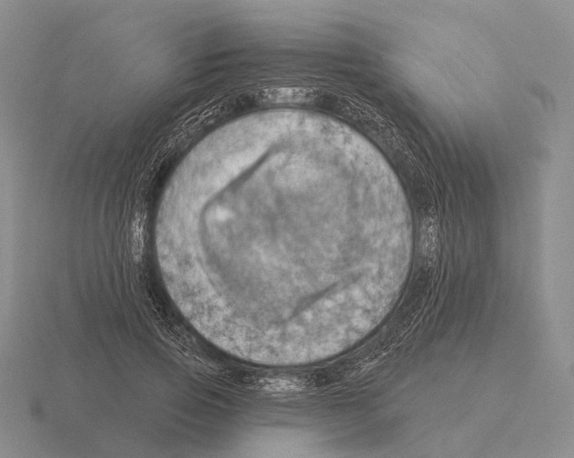 X0000115450741200912161514