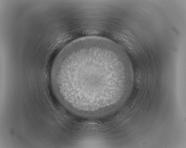 X0000115450743200912161514