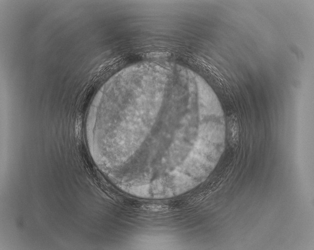 X0000115450745200912161514