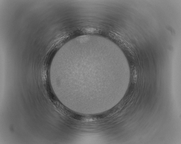 X0000115450746200912161514