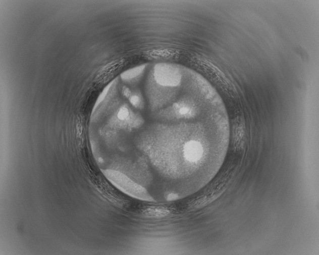 X0000115450749200912161514