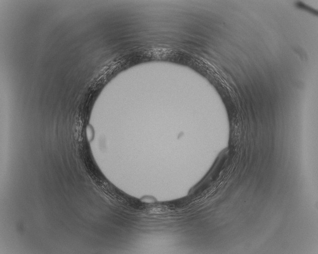 X0000115450750200912161514