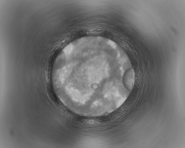 X0000115450755200912161514