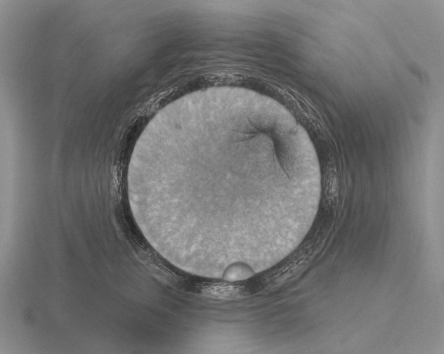 X0000115450759200912161514