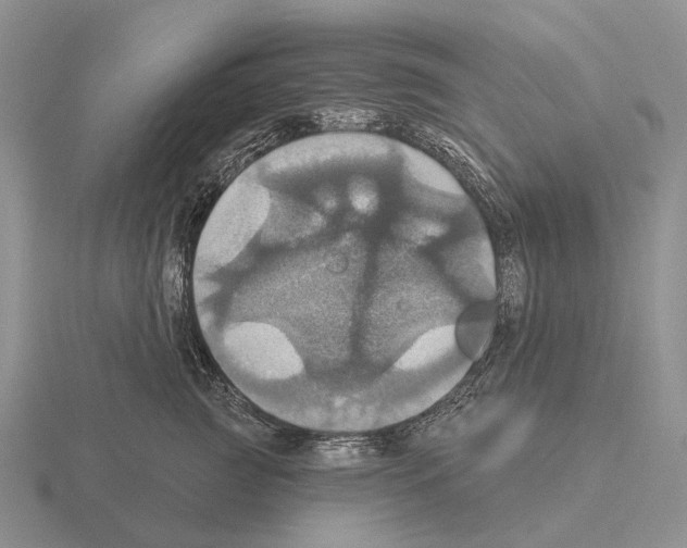 X0000115450761200912161514