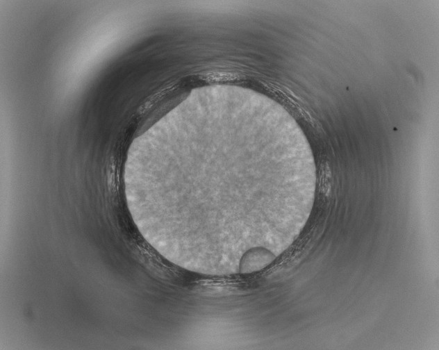 X0000115450763200912161514