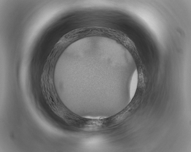 X0000115450765200912161514