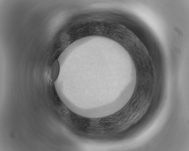 X0000115450766200912161514